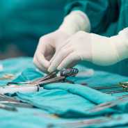 Chirurgia miękka i ortopedia